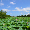 Part 2　高田城址公園散歩