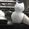 雪やこんこ♪