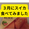 3月のスイカってどうなの？【レビュー】