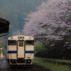 2025/04/04 綺麗なキハ47 9046を撮る