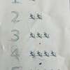 息子が数えられないのは「５」だけじゃなかった
