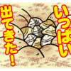 【LINEスタンプ】 なんか審査が通ったんだが