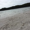 Fraser Island 大満足