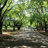 子連れでおすすめお出掛けスポット【都立小金井公園】のすすめ