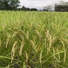讃美歌285番　神の国を目指して