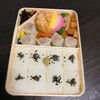 京急の走行スピードって遅くなった？と「やっぱ親子やなあ～･･」と思った話｜崎陽軒シウマイ