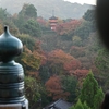 紅葉の清水寺 朝の風景