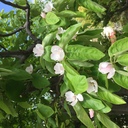 ヒプマイ楽曲の作者一覧 オオサカ ナゴヤ ヒプマイの元ネタを集めるブログ