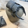 陶鉢「ノコギリクワガタ」と「ゴライアス」造作
