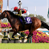 日曜競馬　展望