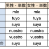 スペイン語#19　所有形容詞の表現