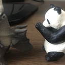 合掌パンダの日常