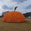 菩提寺へお参り