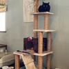 猛暑の横浜