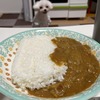 レトルトカレー