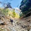 山登り(蓮華寺山) 後編