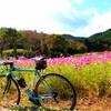 銀の馬車道サイクルトレイン復路（生野～姫路城）ルート確認。ついでに藤本豆腐店で豆腐を買う。