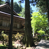 瑞々しいアジサイが目的ならばデンジャラスな両界山横蔵寺の梅雨時の歩き方