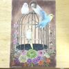 【脳がみるみる若返るぬり絵　花鳥風月】インコと文鳥を塗る