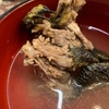 ミドリガメを肉として考えた場合、デカいほどその効率は増すんよね。