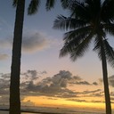 koko’sblog