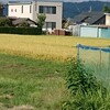 単身者のもしもの時