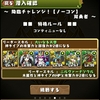 パズドラ　75日目　降臨チャレンジ　双勇者　攻略