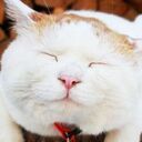 ujigis's blog