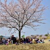 紺原老人クラブ・ 藤山公園・お花見 