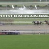 オルフェーヴル産駒、またもやダートで大覚醒！5馬身差圧勝デルマアートマン