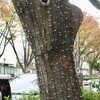 ライトアップ
