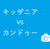 カンドゥーとキッザニア比較！5つの違いを千葉県民にきいてみた。