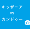 カンドゥーとキッザニア比較！5つの違いを千葉県民にきいてみた。