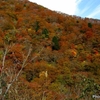 日本　温見峠の紅葉