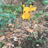 ポケモンGO 行田公園はピカチュウの巣