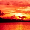 POHNPEI　1994　October　ダイビング　その13