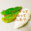 捨てるなんてもったいない？！ゴーヤのワタは食べられるんです！