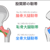 股関節のインナーマッスルの話。