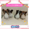 生後4ヶ月おめでとう🎉