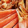 ふるさと納税でズワイ蟹でしゃぶしゃぶを食べよう！