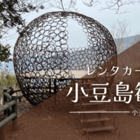 【レンタカーで行く！小豆島観光⑤】小豆島を巡る旅の最終回は寒霞渓ロープウェイへGO！国際両備フェリー乗船レポもあるよ！