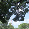 今ここの領土問題、もしくは平成荒地派／唄・13