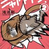 躍動感ハンパない猫マンガ。鴻池剛『鴻池剛と猫のぽんた ニャアアアン！』