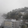 熱海で降る雪、東京でも