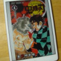 鬼滅の刃 第四巻ネタバレ有り感想 伊之助もキャラ立ってるが この巻の主役はやっぱり善逸 Azzurriのショッピングレビュー