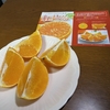＜休職＞看護師を目指すまで。