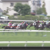 2019.6.23函館競馬1レース3着・ツクバハナコ【儲かる勝馬投票・競馬予想メモ】