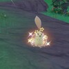 色チコリータ