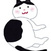 『涙』猫のもんたくん