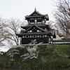 高田城の桜